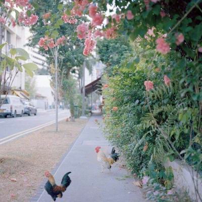 单机的打鱼游戏下载手机版