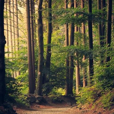 快3彩票官方下载