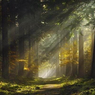 博鱼综合体育APP