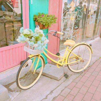 乐鱼全站官网在线登录