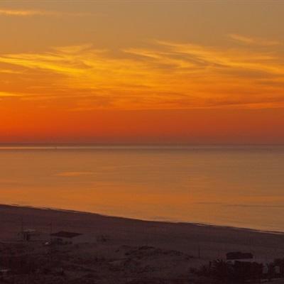 大只500注册下载