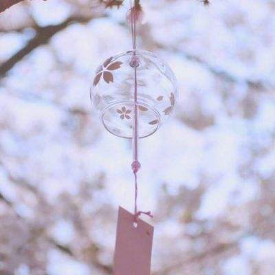 KOKapp手机app下载