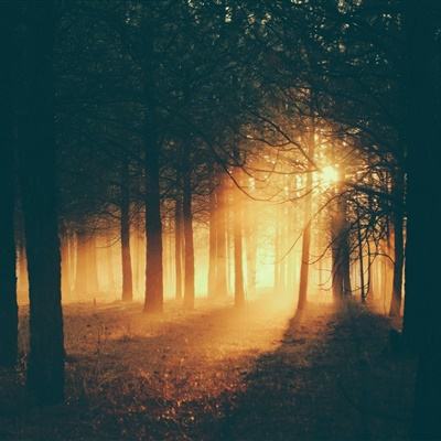 风云体育app下载官网最新版截图