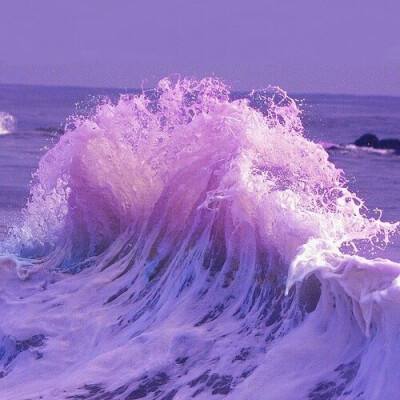 云开·全站APP登录入口